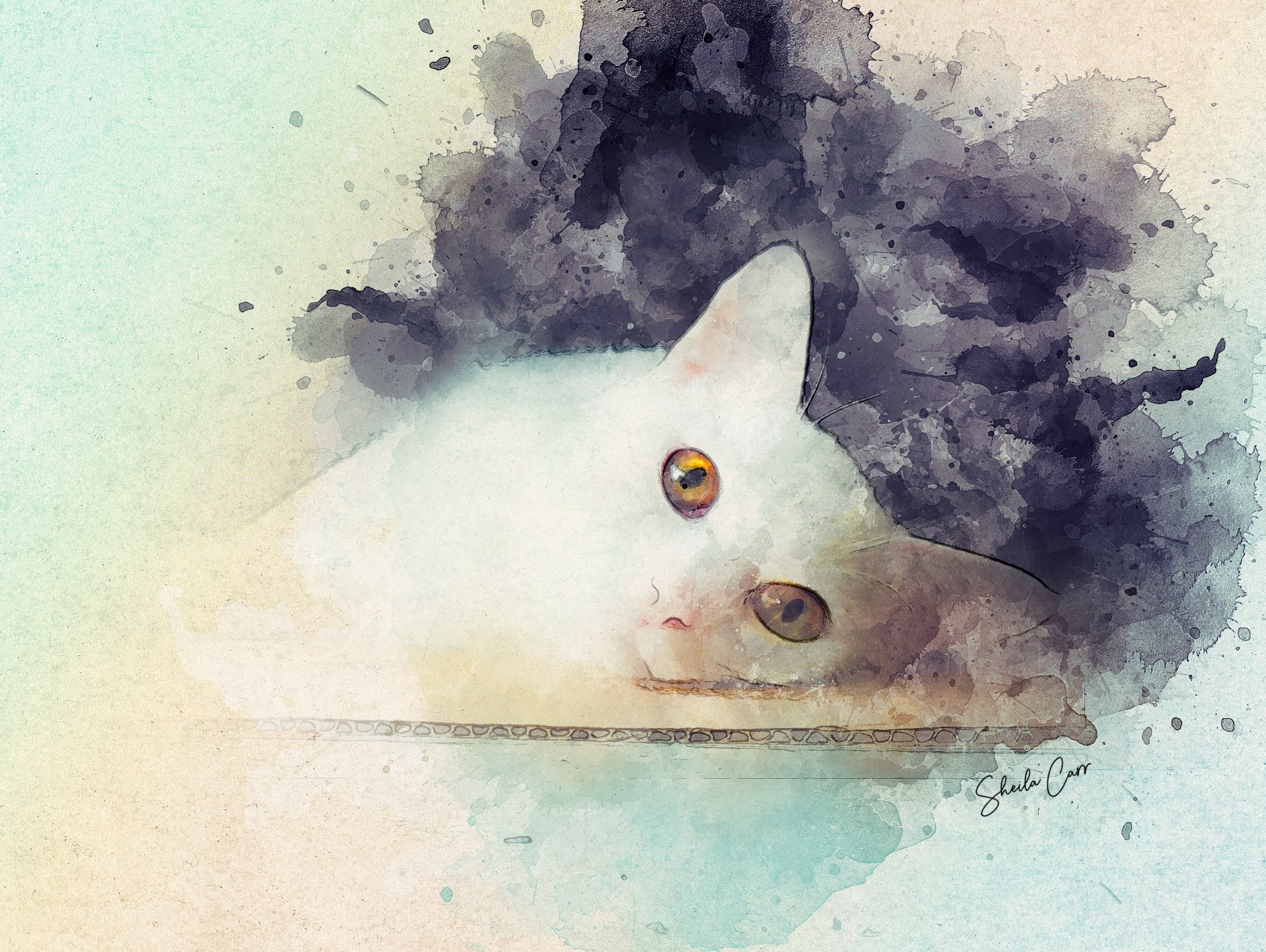 A Study in White